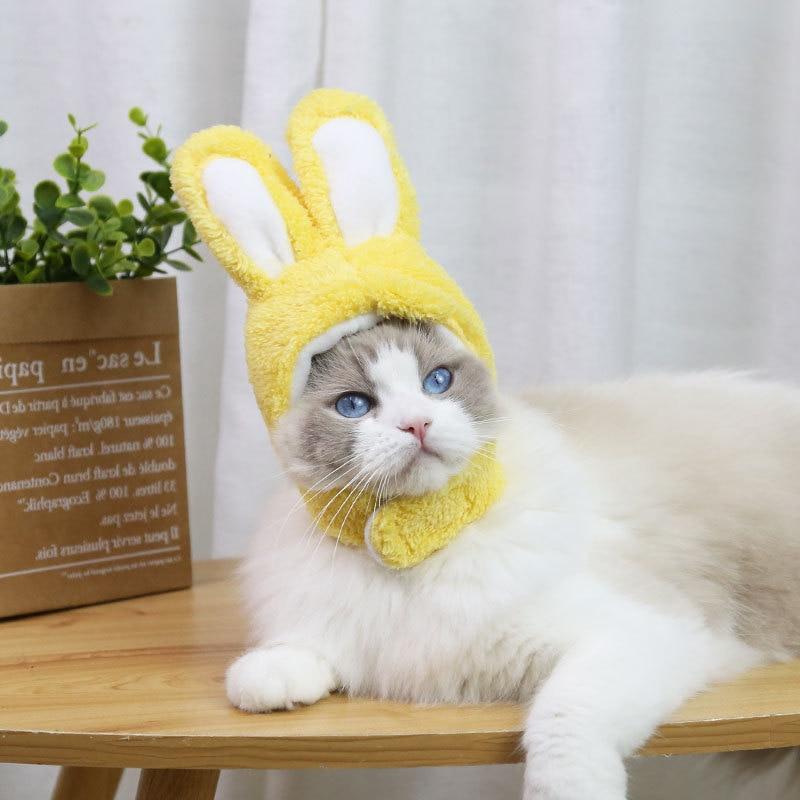 RabbitHat™ - Accessoire de déguisement pour chat - Matou-shop